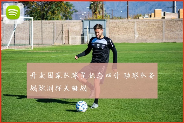 丹麦国家队球星状态回升 助球队备战欧洲杯关键战