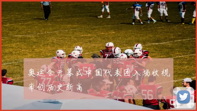 奥运会开幕式中国代表团入场收视率创历史新高