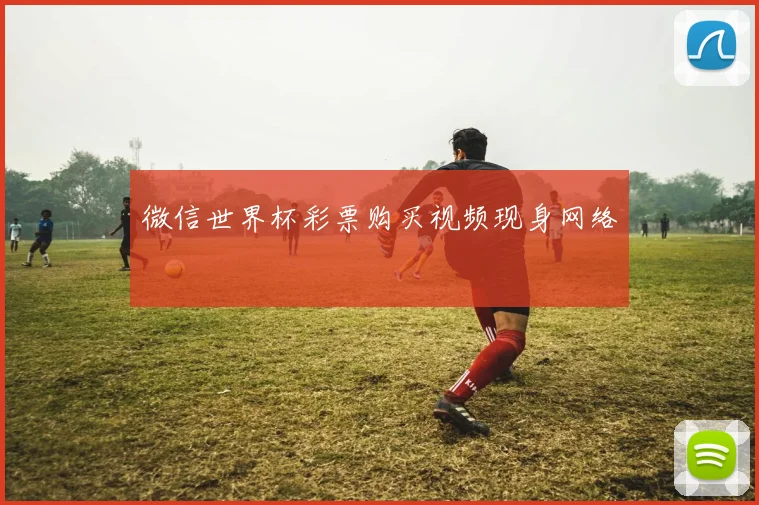 微信世界杯彩票购买视频现身网络