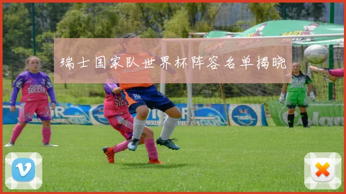 瑞士国家队世界杯阵容名单揭晓