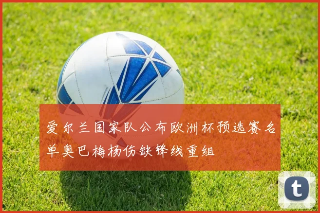 爱尔兰国家队公布欧洲杯预选赛名单奥巴梅杨伤缺锋线重组