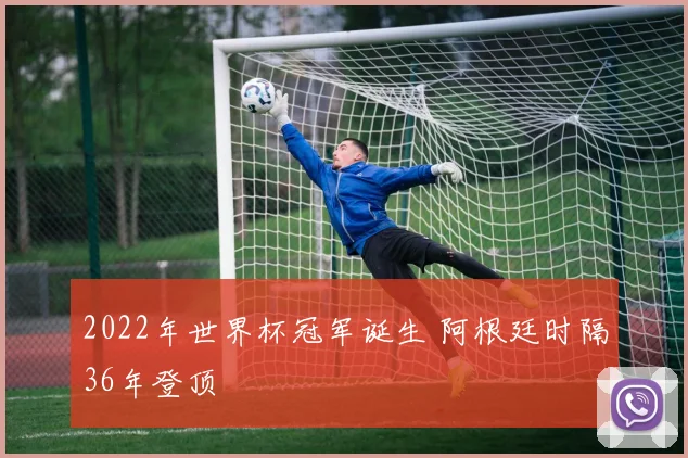 2022年世界杯冠军诞生 阿根廷时隔36年登顶