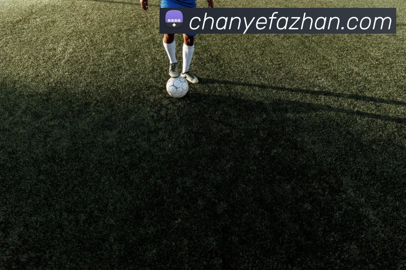 星空·体育(xingkong.com)官方网站平台生态图